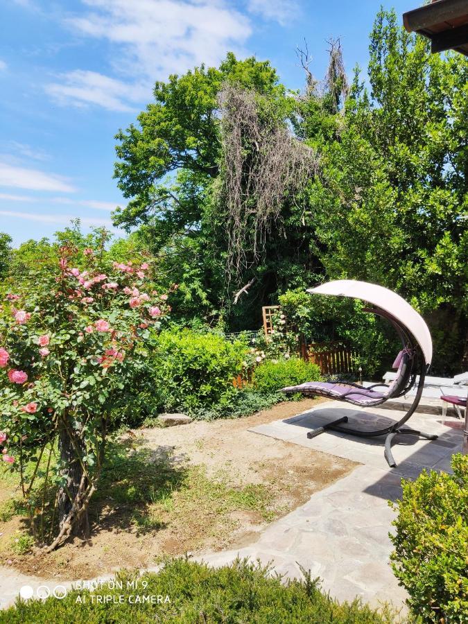 Un Giardino Sul Lago Montefiascone Eksteriør bilde