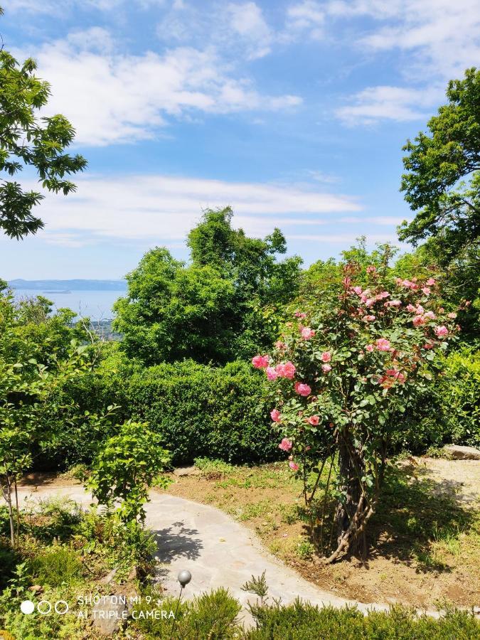 Un Giardino Sul Lago Montefiascone Eksteriør bilde